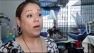 Famous Ayúdanos a "Desocupar los Albergues" Wealth