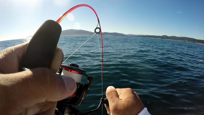 Surf Fishing Challenge with a Tiny Rod. Zebco Dock Demon 