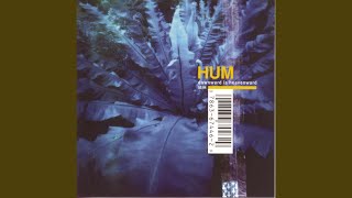 PDF Sample Afternoon With The Axolotls guitar tab & chords by Hum.