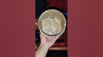 Thành quả câu cá basa, cá lăng bằng mồi chuyên#shorts