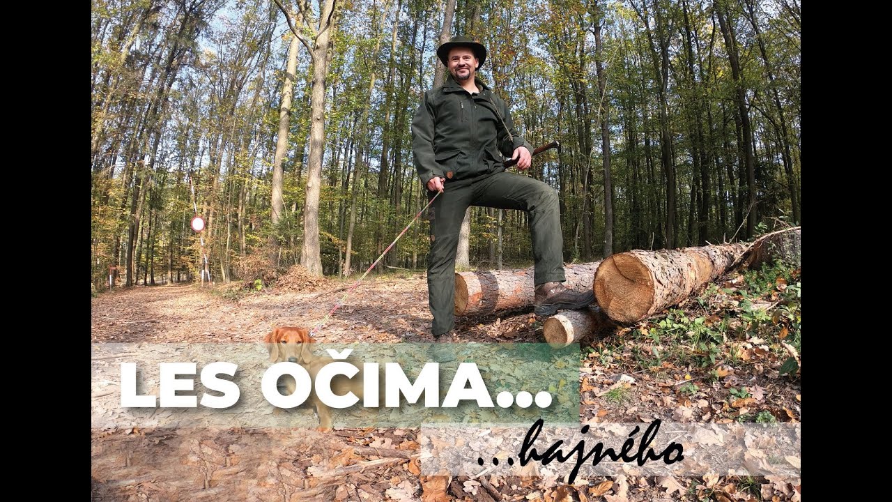 LES OČIMA... hajného