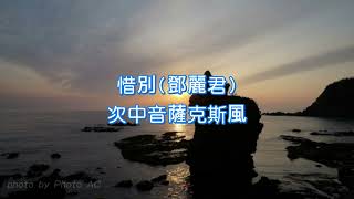 惜別 (鄧麗君)~雨季~薩克斯風演奏~