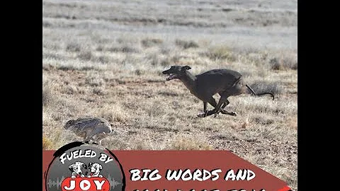 Big Words And Cool Dogs: EP 10 | Fueled by Joy
