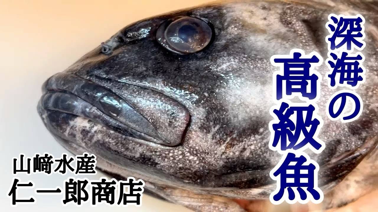 【北海道】新ひだか町三石『仁一郎商店』全身大トロのアブラボウズ！！そのお味は！？