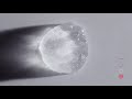 FILLMED - THE HISTORY OF A PIONEER