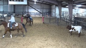 Shes All Tuff - sorting practice 4 - Valley View Ranch