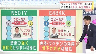 東京で変異ウイルス過去最多22人「E484K」とは?　(2021年4月6日)