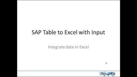 12 SAP Table to Excel with Input