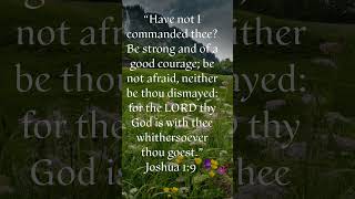 Be strong in the Lord.#Lord #God #fear #anxiety #faith #peace #rest #hope #shorts #over60 #senior