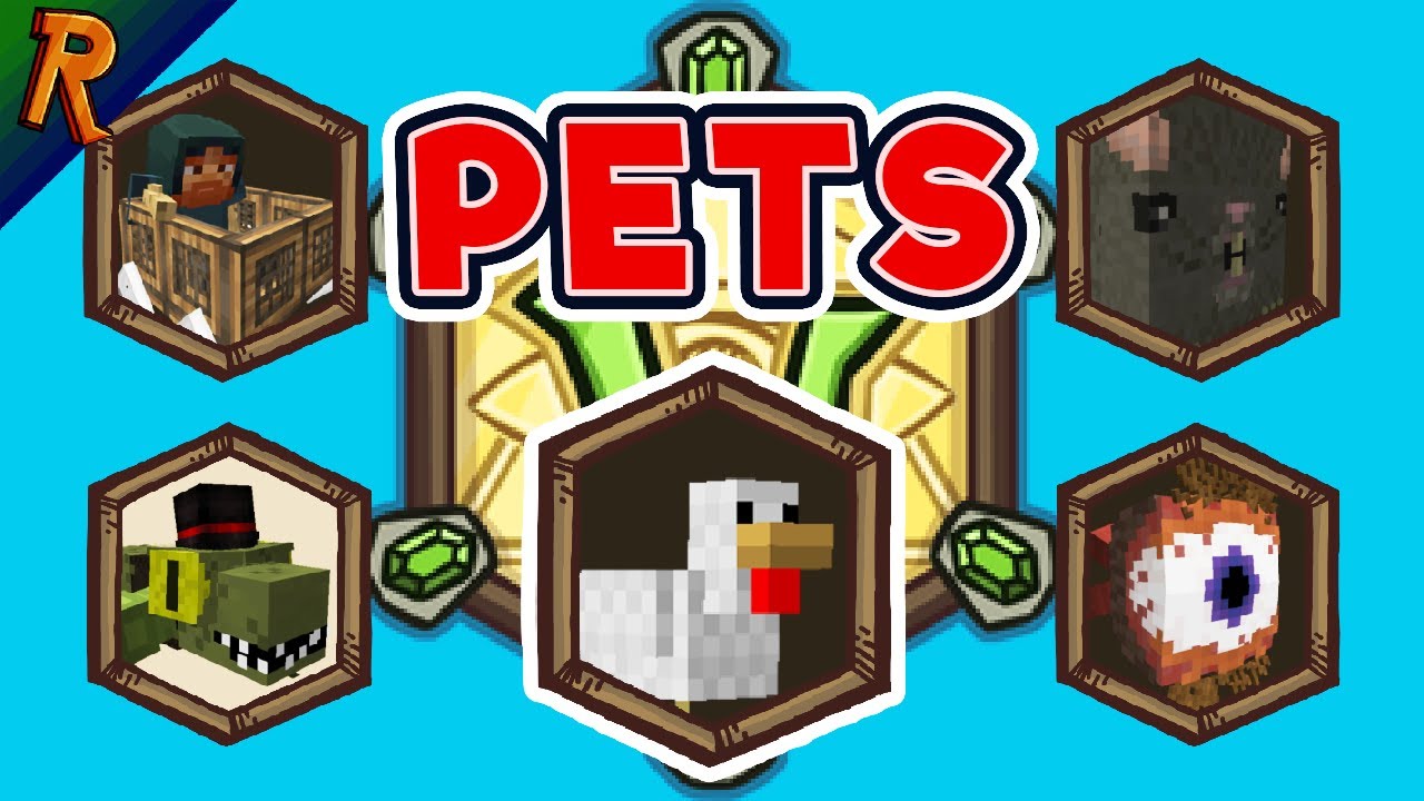 How you can get a free pet even at lv. 1 | Everything about Pets Explained (Wynncraft)