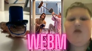 Webm compilation #1 | Подборка видео мемов