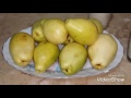 طريقة عمل عصير الجوافة باللبن  فوائد الجوافة.. 