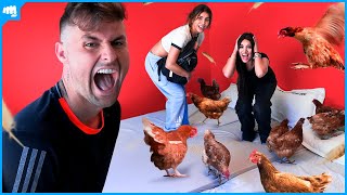 Prendi As Meninas Com 10 Galinhas No Quarto