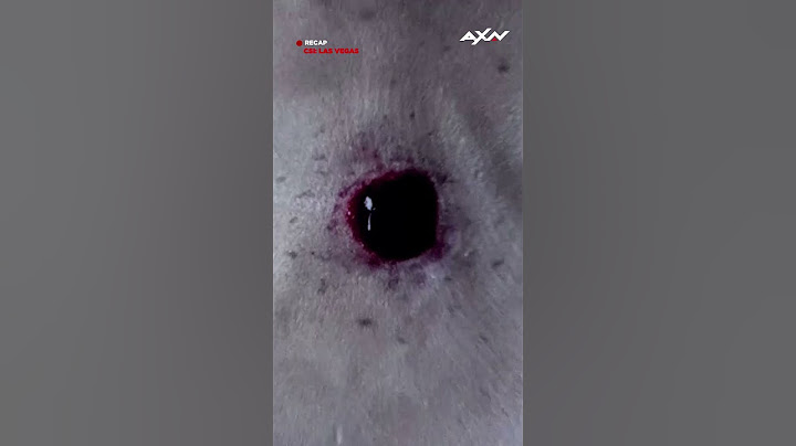 Le toca abrir un cadáver en su primer día de trabajo | #CSI | AXN Latinoamérica
