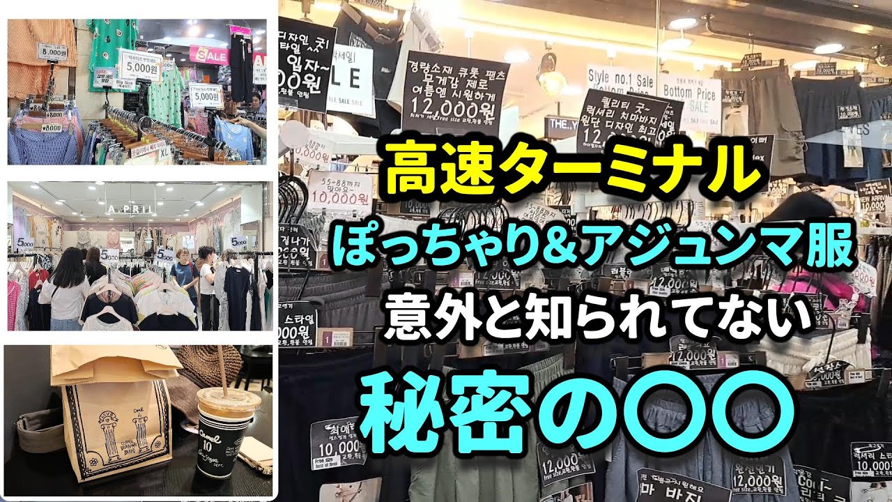 【最新韓国情報】韓国激安大きいサイズ服＆アジュンマ服高速ターミナル秘密の場所！