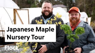 Tour a JAPANESE MAPLE Nursery — Ep. 241 by Flock Finger Lakes 17,732 views 1 month ago 42 minutes