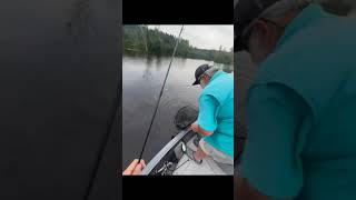 Jax 22 Topwater Menominee River Smallmouth