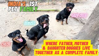Rottweiler Bubzee, Lady Ollie And Chloe Are The 1st Pet Family In India To Live Together As Family