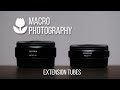 Macro Photography with Extension Tubes