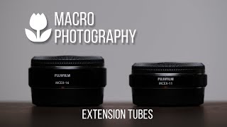 Macro Photography with Extension Tubes