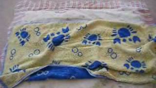 20100809maron.wmv