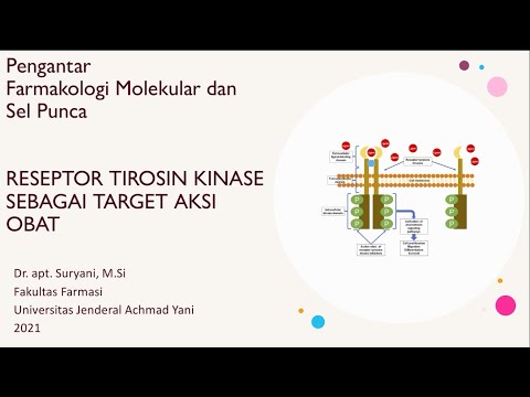 Video: Di manakah lokasi reseptor tirosin kinase?