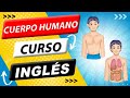 🔴  El cuerpo humano en inglés