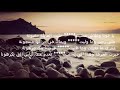 شعر عن الحرقة 《نبكي عالي راح》