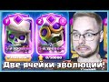 💪 КОЛОДЫ С ДВУМЯ ЭВОЛЮЦИЯМИ - ЭТО ИМБА / Clash Royale