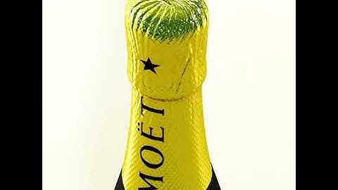 3D Model of Champagne Moet Chandon Bottle Review