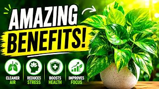 How to Grow Pothos FAST at Home 8 Proven Secrets!