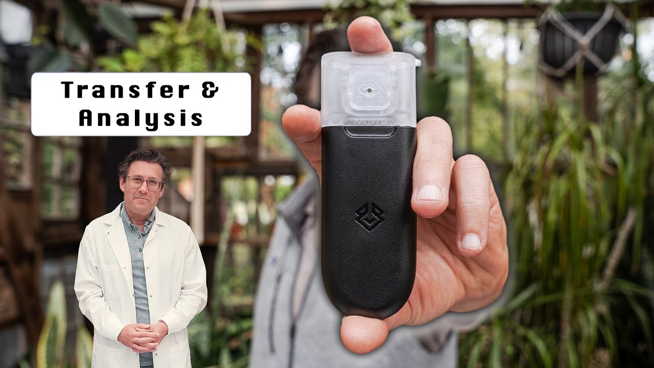 Step 5: The Most Important Step in Tetrasense – How to Complete Analysis & Transfer