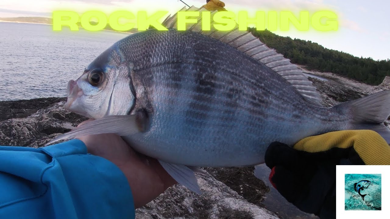 Rock Fishing #fishing - YouTube