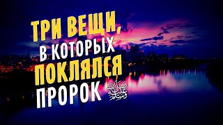 Три вещи, в которых поклялся Пророк ﷺ