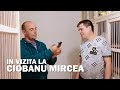 Interviu Ciobanu Mircea