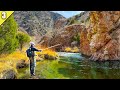 The Most Unique Trout Water I've Ever Fished!! (Desert Trout) || Fly Fishing Colorado Pt 3