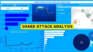 WORLD SHARK ATTACK 1900-2000 | POWERBI DASHBOARD ANALYSIS