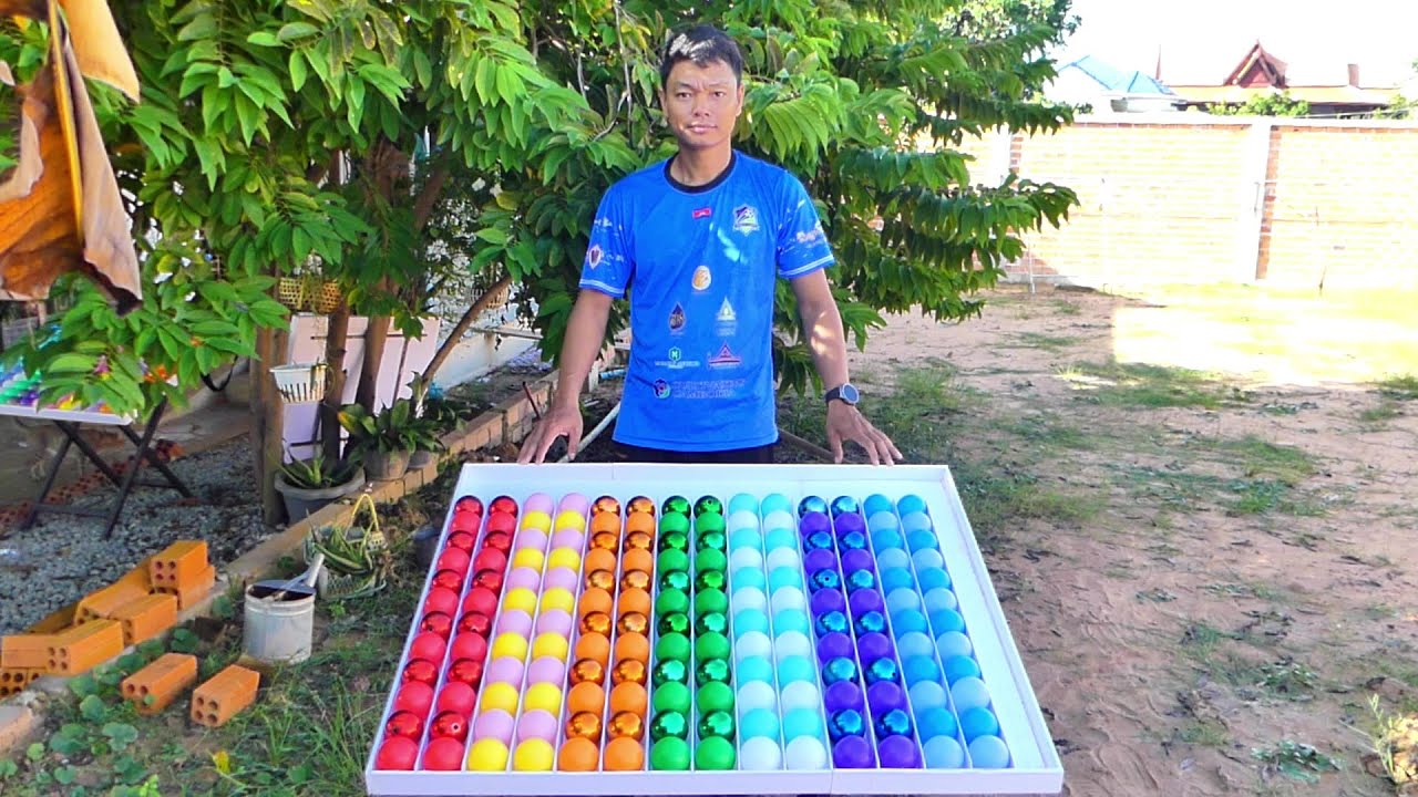 Smart Sorting Color Spree Challenge Chromatic - YouTube