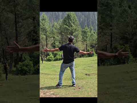 Chaar Hoshiyar trying Shahrukh Khan's iconic pose
