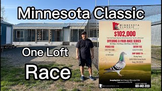 Visiting Minnesota Classic One Loft Race #pigeonracing #pigeon #racingpigeon #oneloftrace #hmong