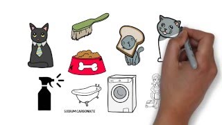 HOW TO - Get Rid of Cat Urine Smell Anywhere - Removing Cat Pee Tips