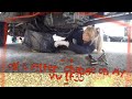 Oil & Filter Change On My VW LT35