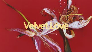 YONLAPA - Velvet Love