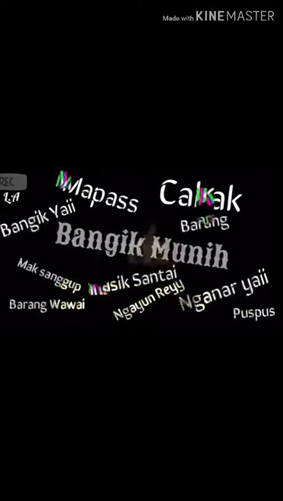 🔴 Story wa Remik Lampung||Garam cina🤙