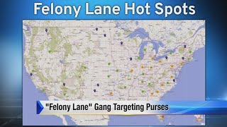 Felony Lane Gang Episode 56 (Florida)