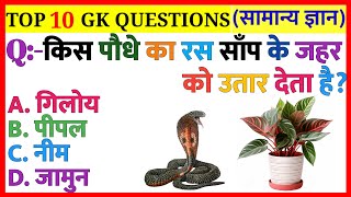 किस पौधे का रस साँप के जहर को उतार देता है |GK|General Knowledge|GK In Hindi|GK Quiz|GK Doctor