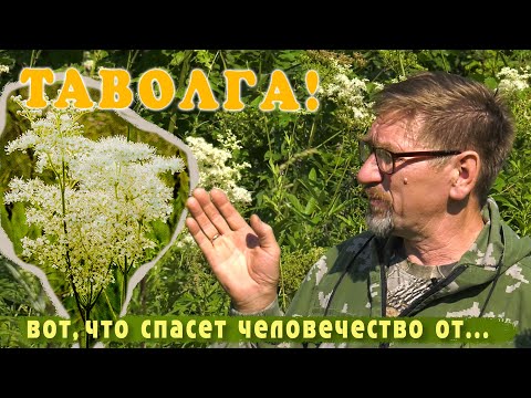 От ГМО, рака, аутоиммунной агрессии, электроволн