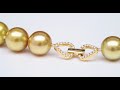 Gia south sea gold pearl necklace