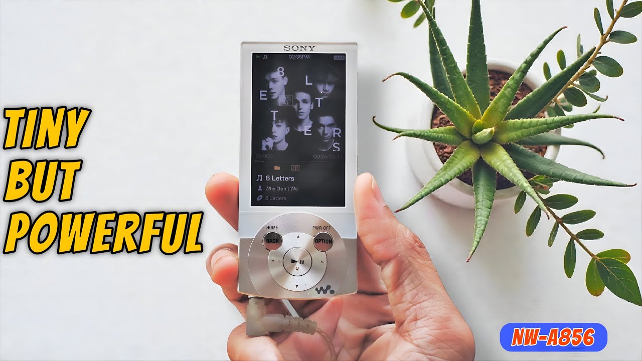 Sony NW-A856: The Sony NW-A856: The