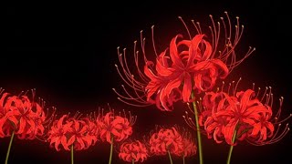 The Children Found A Flower | CREEPYPASTA